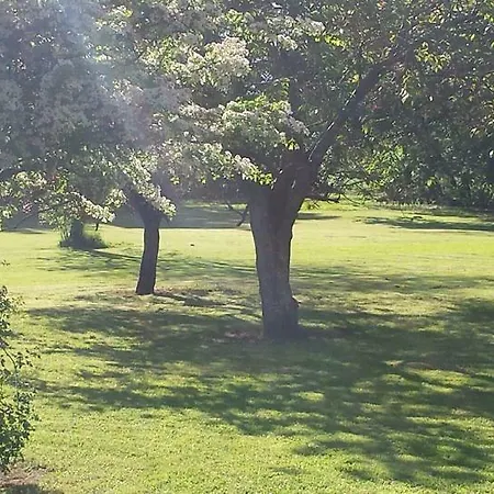 Casa de Campo Clonacody House