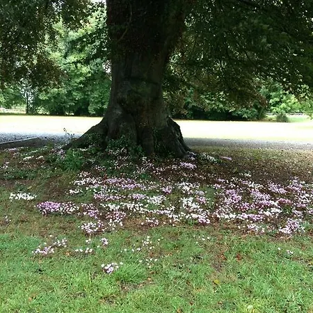 Casa de Campo Clonacody House Clonmel