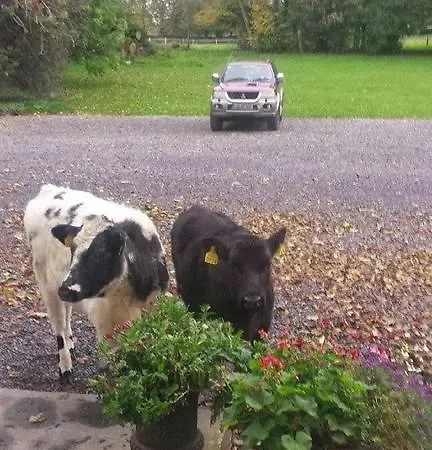 Casa de Campo Clonacody House Clonmel