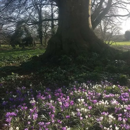 Clonacody House Casa de Campo Clonmel
