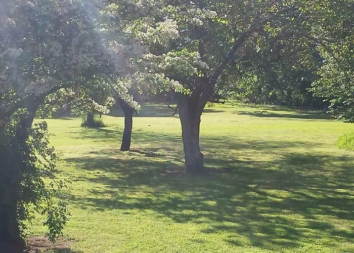 Летний дом Clonacody House