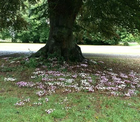 Летний дом Clonacody House Клонмел