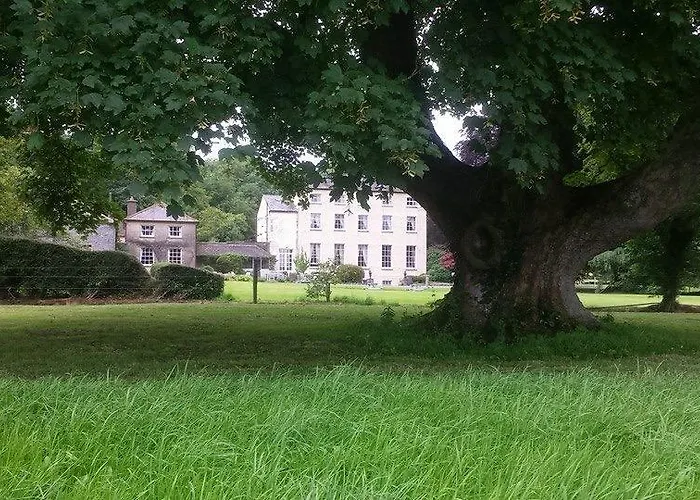 Clonacody House Летний дом *