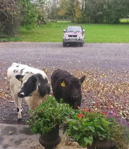 乡村民宿 Clonacody House 克朗梅尔