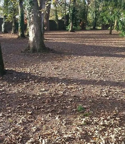 Clonacody House * Клонмел