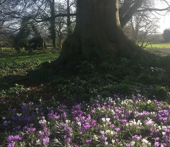 Clonacody House 乡村民宿 克朗梅尔